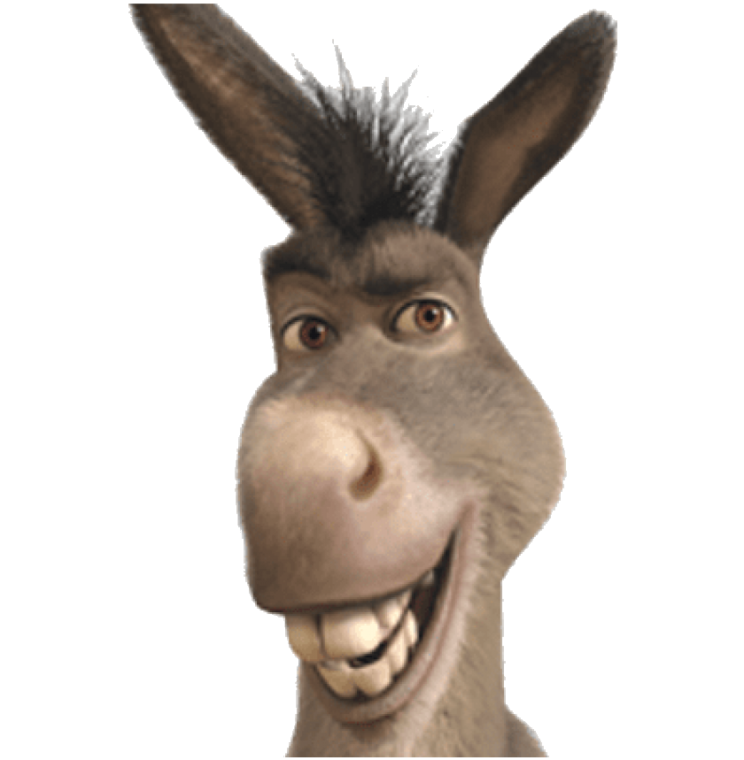 donkey